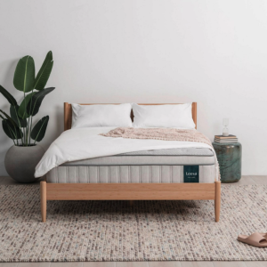Best Mattresses for Seniors with Back Pain Firmness, Support, and Edge Stability Compared